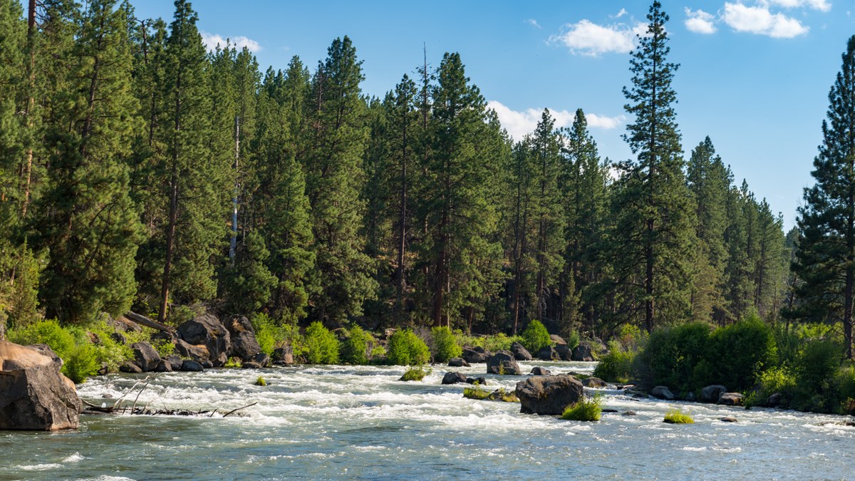 The Deschutes River Trail in Bend, Oregon.