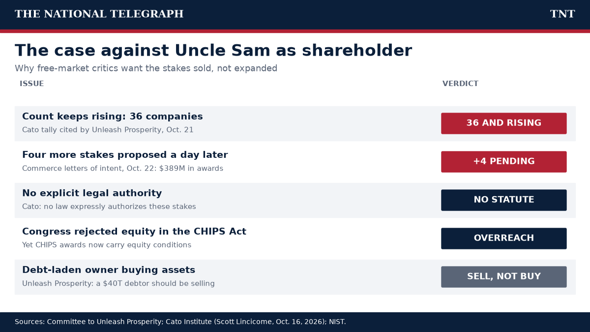 TNT chart summarizing free-market objections to federal equity stakes, from the rising company count to the lack of legal authority